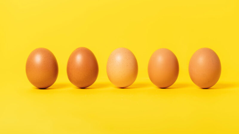 The surprising strength of eggshells