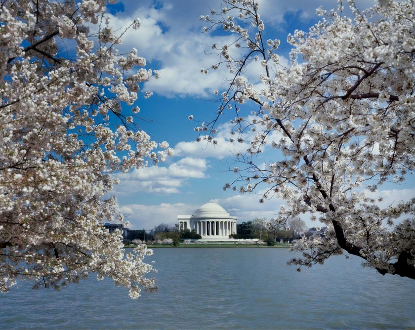 trasferimento aeroporto Washington DC